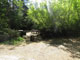 Del Norte Coast Redwoods State Park Mill Creek Campground 118