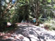 Del Norte Coast Redwoods State Park Mill Creek Campground 127 Host