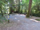 Del Norte Coast Redwoods State Park Mill Creek Campground 133