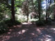 Del Norte Coast Redwoods State Park Mill Creek Campground 135