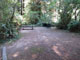 Del Norte Coast Redwoods State Park Mill Creek Campground 136