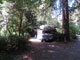 Del Norte Coast Redwoods State Park Mill Creek Campground 137