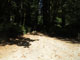 Del Norte Coast Redwoods State Park Mill Creek Campground 142