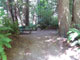 Del Norte Coast Redwoods State Park Mill Creek Campground 143b
