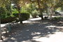San Lorenzo Regional Park 055