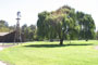 San Lorenzo Regional Park Picnic Area