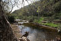 Leo Carrillo State Park Creek