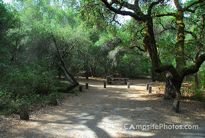 Henry Cowell 093