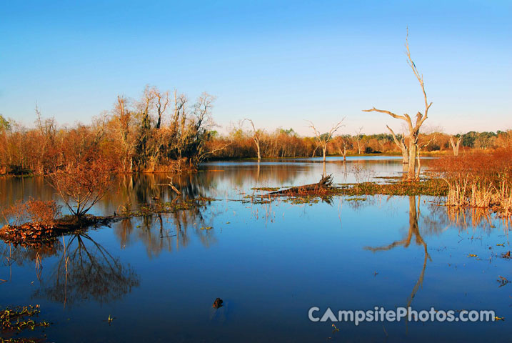 Brazos Bend State Park Elm Lake 1