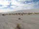 White Sands National Monument 002