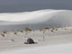 White Sands National Monument 005