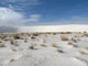 White Sands National Monument 007