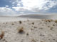 White Sands National Monument 010