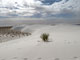 White Sands National Monument Backcountry Camping Loop Trail 2