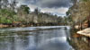 Rio Suwannee 1