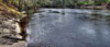 Suwannee Fluss 2