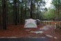 Suwannee Fluss State Park 001