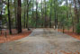 Suwannee Fluss State Park 002