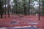 Suwannee Fluss State Park 007