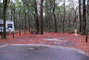 Suwannee Fluss State Park 011