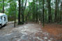 Suwannee river state park 016