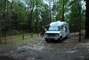 Suwannee River State Park 017