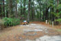 Parc d'État de Suwannee River 018