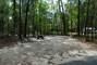 Suwannee River State Park 020