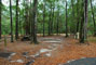 Suwannee River state park 030