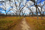 South Llano River State Park Trail