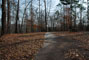 Lake Hartwell State Park 025