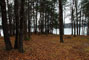 Lake Hartwell State Park Picnic Area