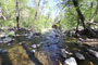 Manzanita Oak Creek Ansicht 1