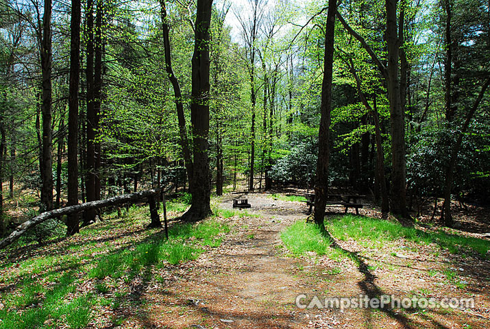 Hickory Run State Park 011