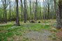 Hickory Run State Park 360