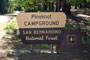 Pineknot Sign