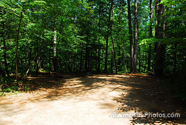 White Lake State Park Campground 1 034A