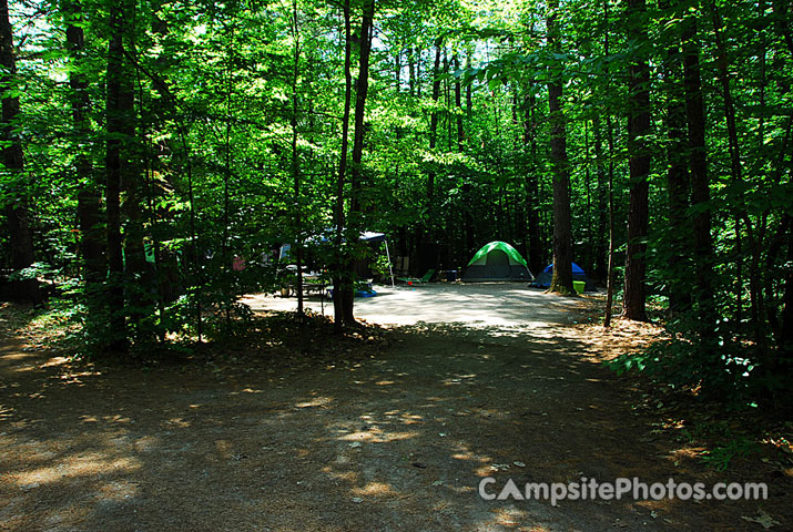 White Lake State Park Campground 1 034B
