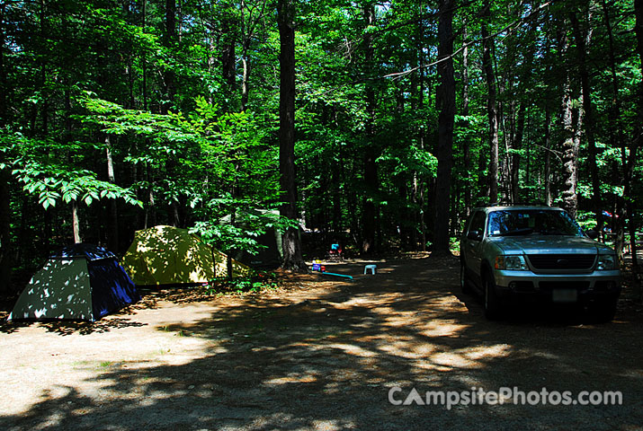 White Lake State Park Campground 1 059