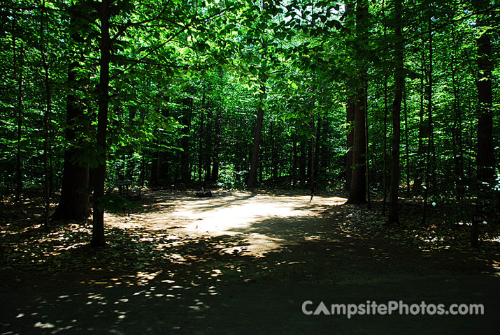 White Lake State Park Campground 1 061A