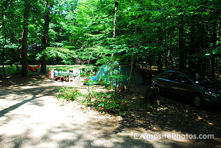 White Lake State Park Campground 1 062