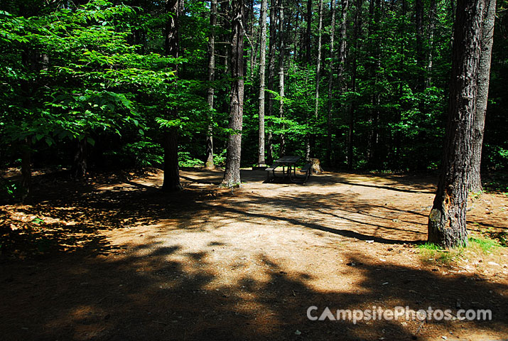 White Lake State Park Campground 1 077