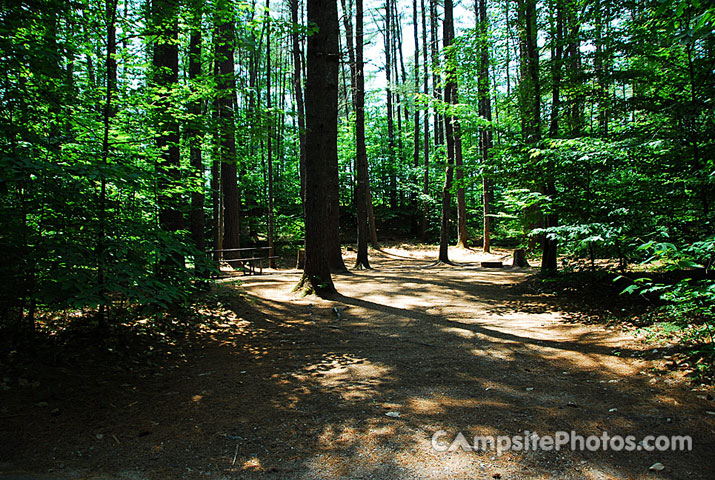 White Lake State Park Campground 1 080A