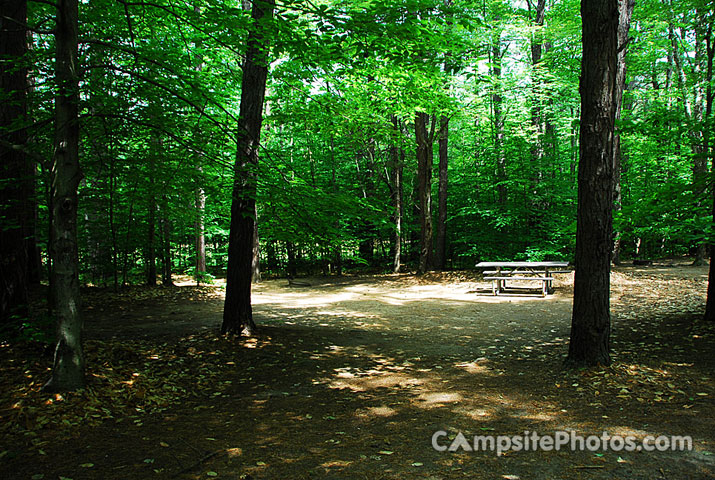 White Lake State Park Campground 2 012
