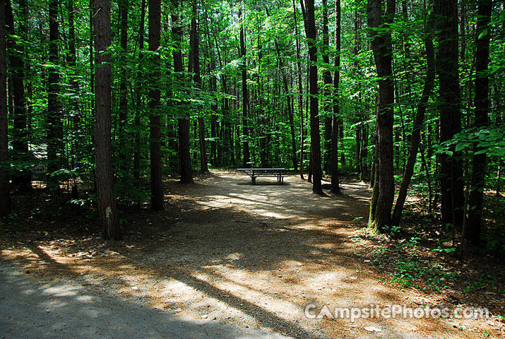 White Lake State Park Campground 2 022A