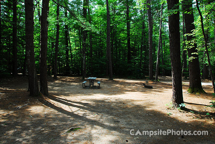 White Lake State Park Campground 2 030