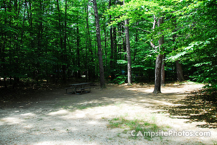 White Lake State Park Campground 2 048