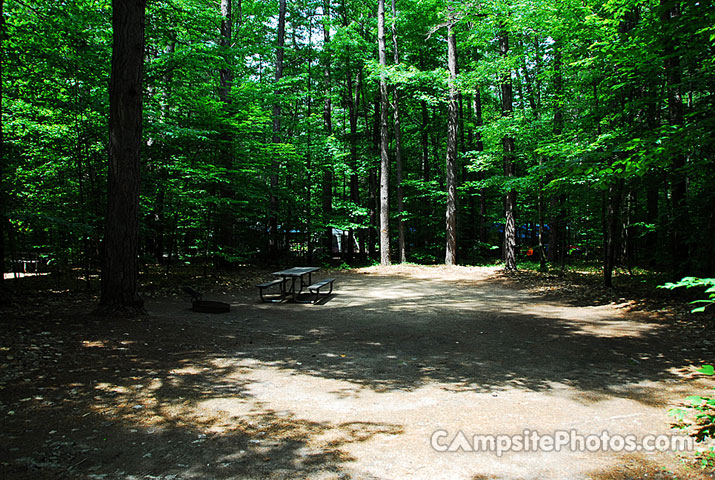 White Lake State Park Campground 2 051