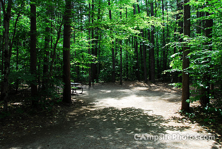 White Lake State Park Campground 2 053A