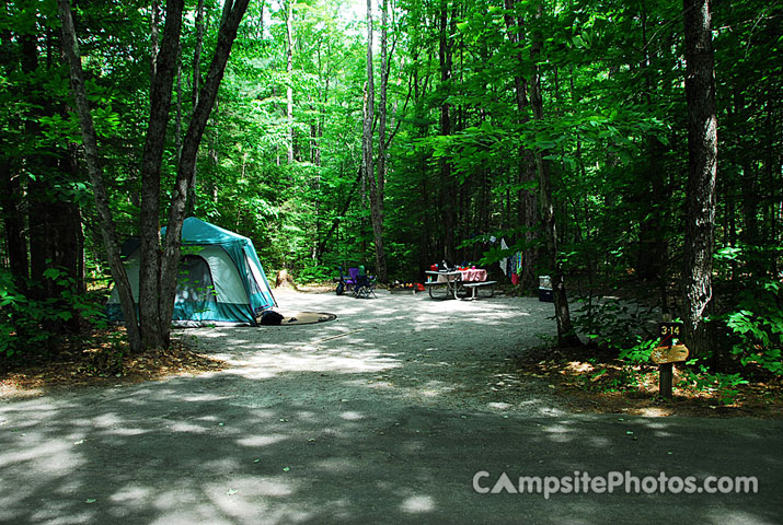 White Lake State Park Campground 3 014